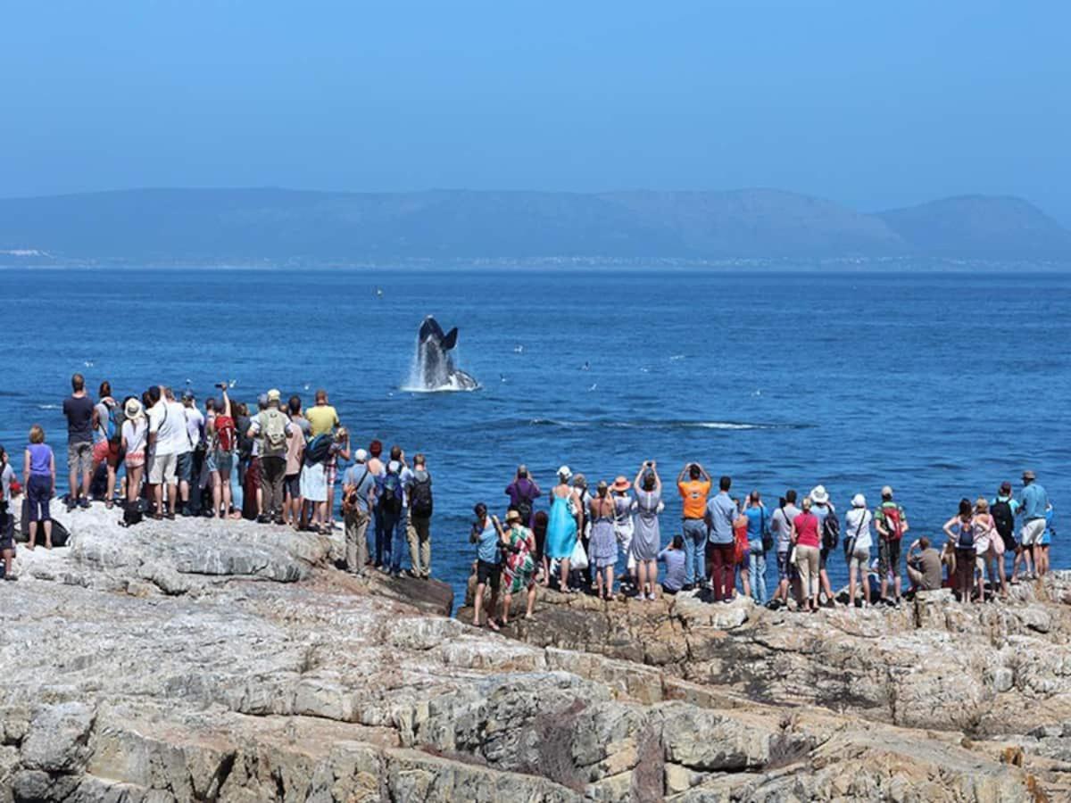 Hermanus Waterfront Apartment Zimmer foto